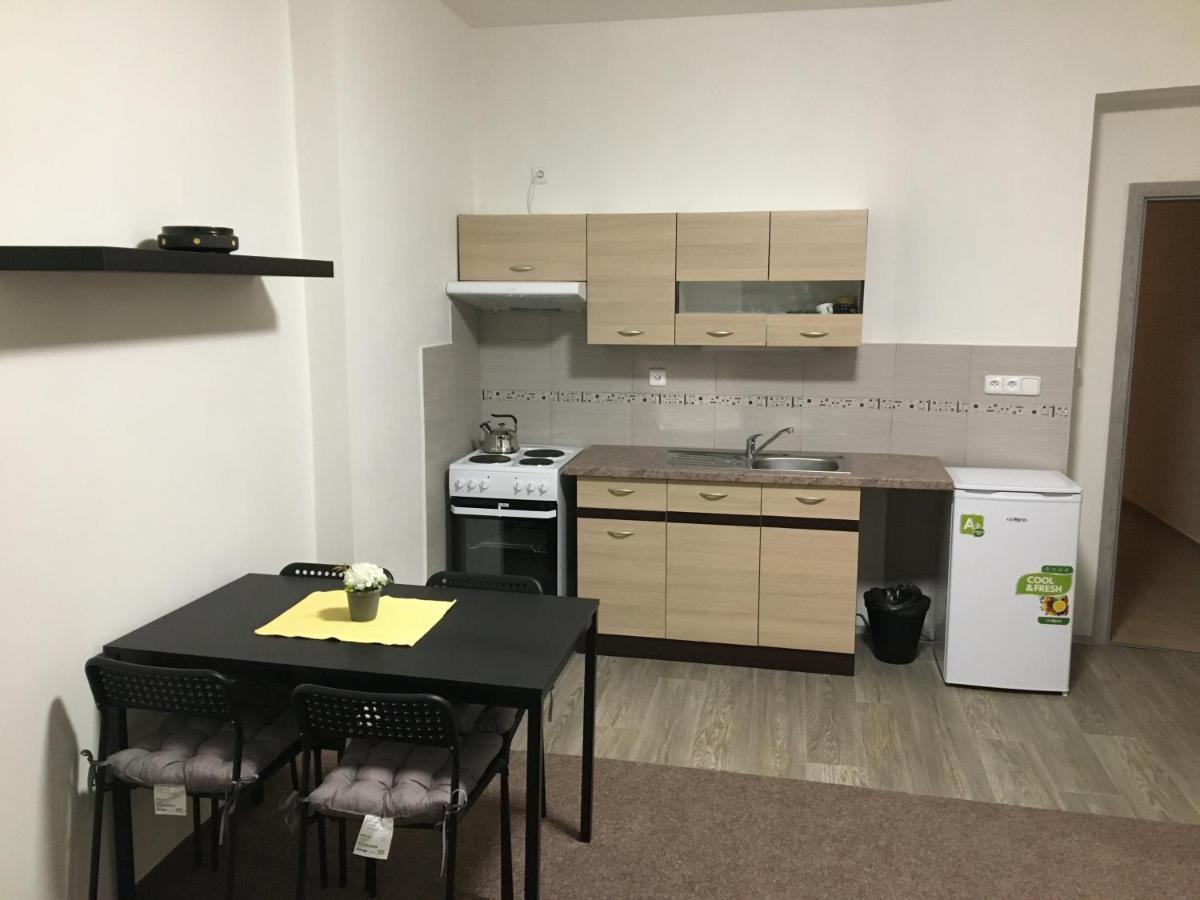 Apartmany U Muzea Decin Zewnętrze zdjęcie