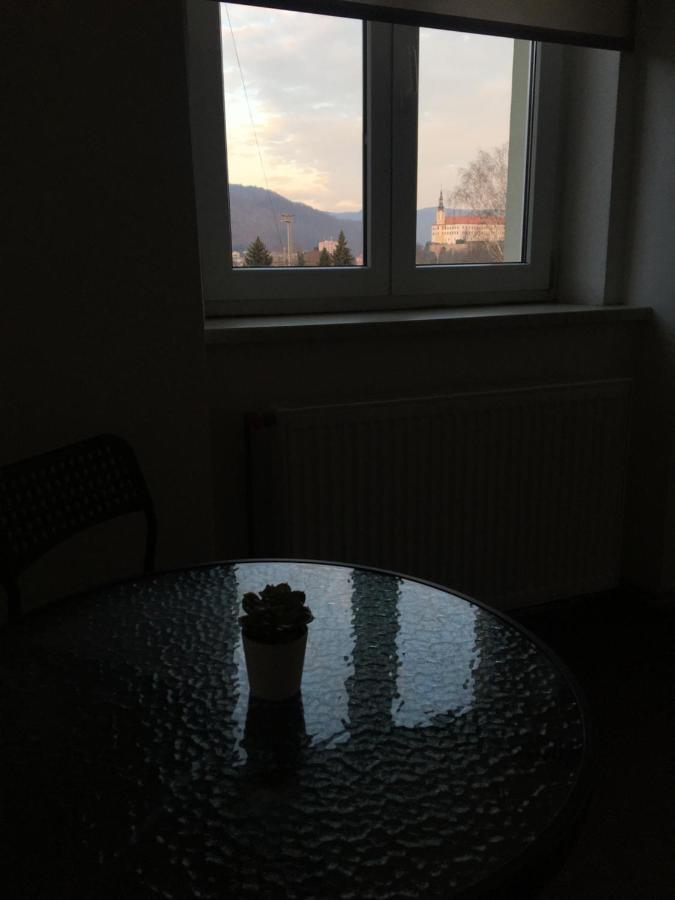 Apartmany U Muzea Decin Zewnętrze zdjęcie