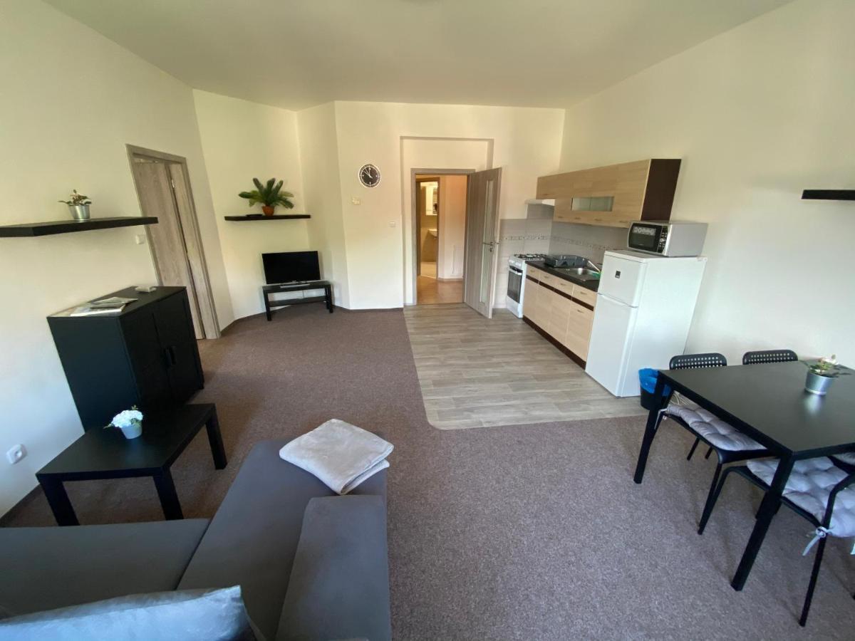 Apartmany U Muzea Decin Zewnętrze zdjęcie